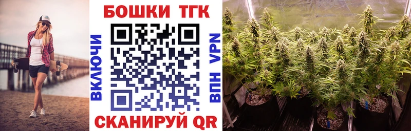 Конопля план  Купить  Новосибирск 